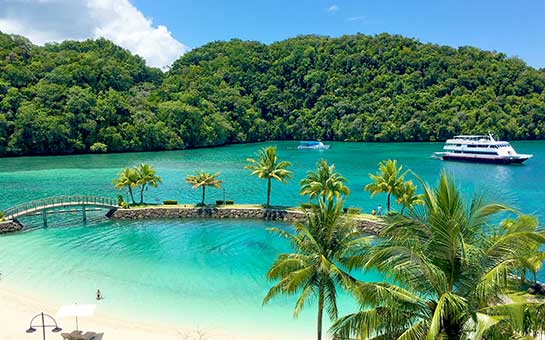 Palau Travel Insurance